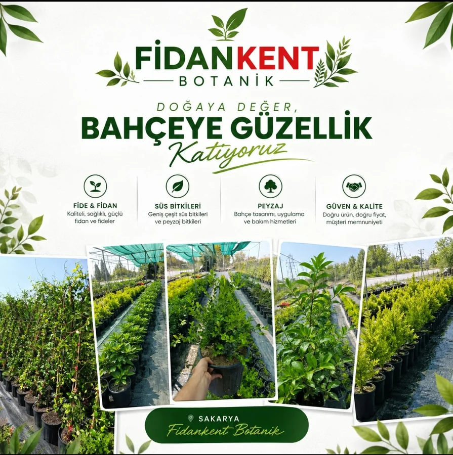 Fidan Kent Botanik üretim alanları